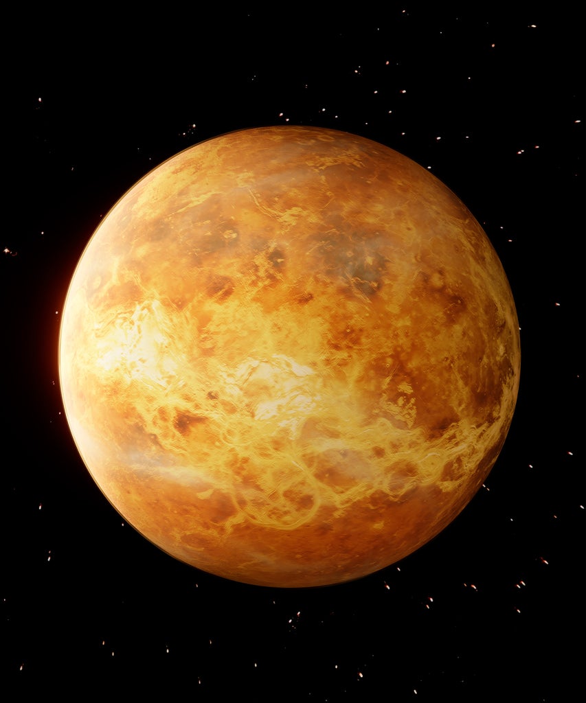 Venus In Leo Is Here — & It’s Creating A Romantic Frenzy